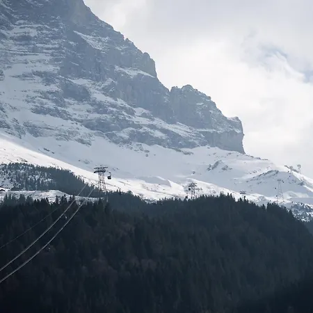 Daire The Eiger Express - Grindelhomes Grindelwald