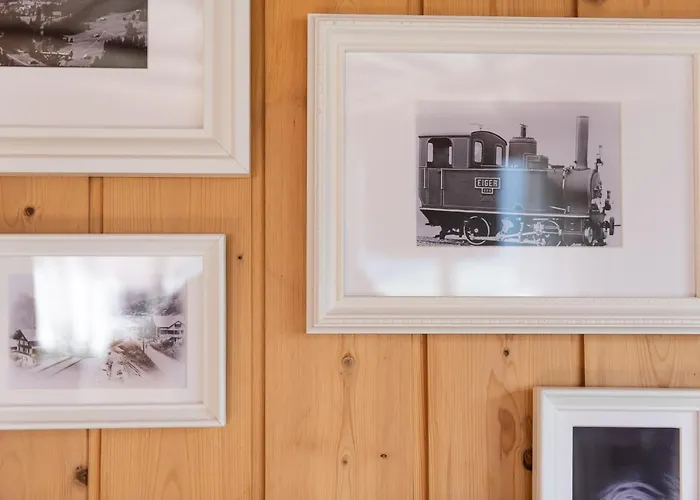 The Eiger Express - Grindelhomes Apartment