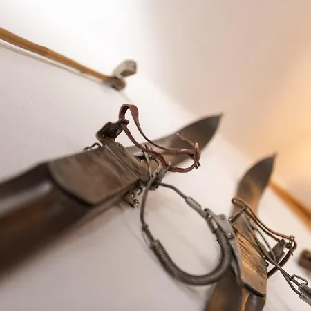 The Eiger Express - Grindelhomes شقة *